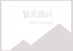 昂仁县紫山能源有限公司